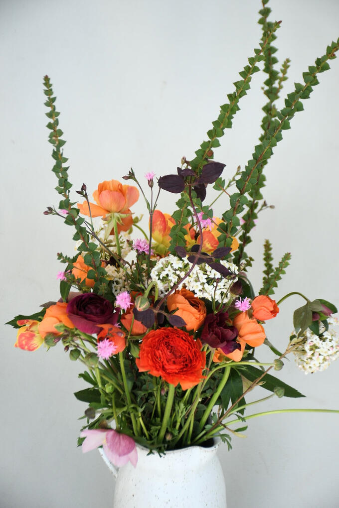 Bush Moon Spring Bouquet Colour Pop